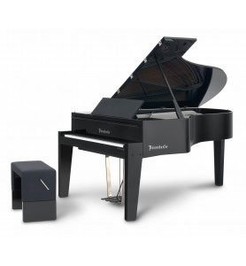 Photo Bösendorfer Edge